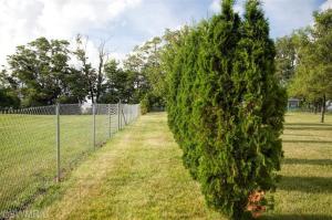 23950 M-60, Cassopolis, MI 49031 photo 18