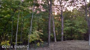 4282 Amazon, Lowell, MI 49331 photo 3