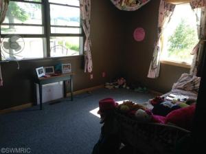 6988 Peckins Rd, Lyons, MI 48851 photo 7