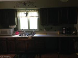 6988 Peckins Rd, Lyons, MI 48851 photo 9