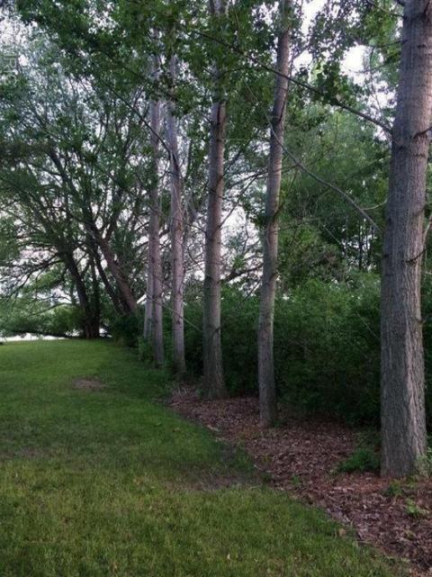 317 Jerumbo St, Manistee, MI 49660 photo 8