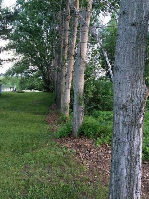 317 Jerumbo St, Manistee, MI 49660 photo 9