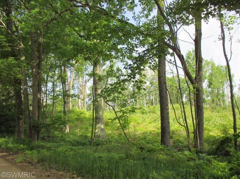 1025 E 16 Mile Rd, Bitely, MI 49309 photo 13