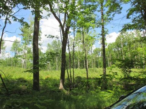 1025 E 16 Mile Rd, Bitely, MI 49309 photo 7