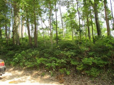 1025 E 16 Mile Rd, Bitely, MI 49309 photo 17