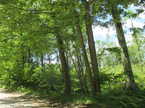 1025 E 16 Mile Rd, Bitely, MI 49309 photo 6