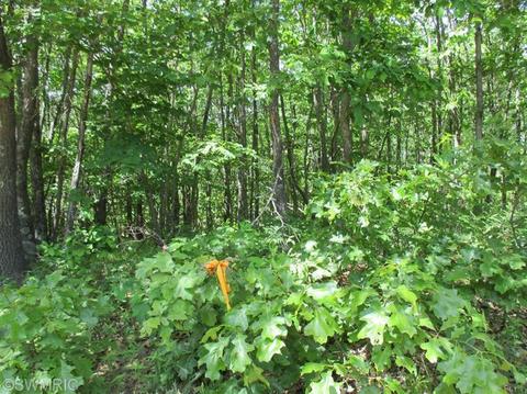1025 E 16 Mile Rd, Bitely, MI 49309 photo 9