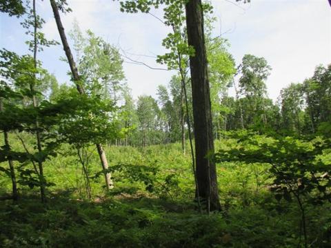 1025 E 16 Mile Rd, Bitely, MI 49309 photo 11
