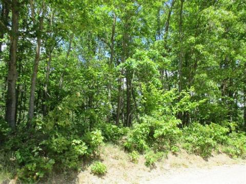 1025 E 16 Mile Rd, Bitely, MI 49309 photo 8