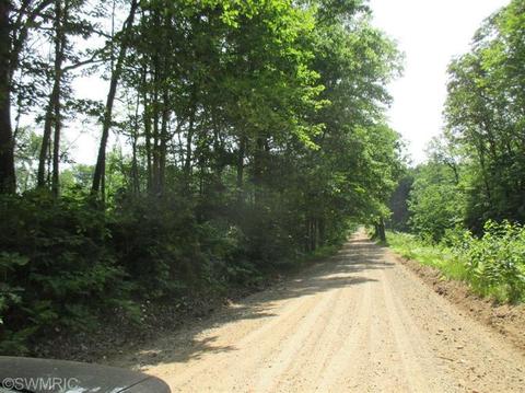1025 E 16 Mile Rd, Bitely, MI 49309 photo 20
