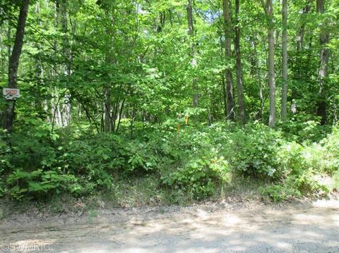 1025 E 16 Mile Rd, Bitely, MI 49309 photo 2