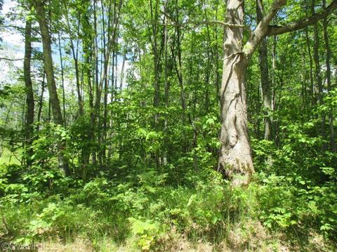 1025 E 16 Mile Rd, Bitely, MI 49309 photo 4
