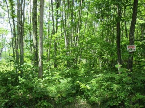 1025 E 16 Mile Rd, Bitely, MI 49309 photo 3