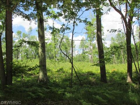 1025 E 16 Mile Rd, Bitely, MI 49309 photo 5