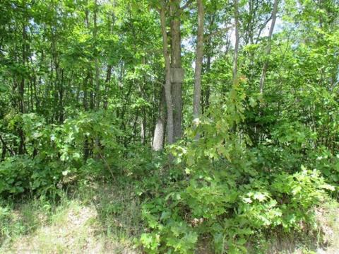 1025 E 16 Mile Rd, Bitely, MI 49309 photo 10