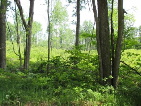 1025 E 16 Mile Rd, Bitely, MI 49309 photo 14