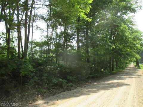 1025 E 16 Mile Rd, Bitely, MI 49309 photo 18