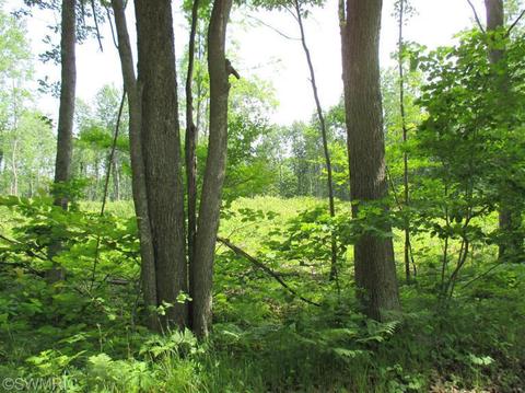 1025 E 16 Mile Rd, Bitely, MI 49309 photo 15