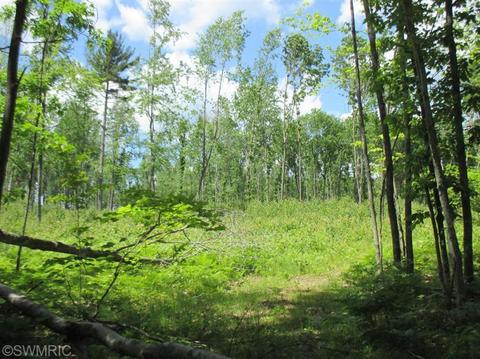 1025 E 16 Mile Rd, Bitely, MI 49309 photo 1