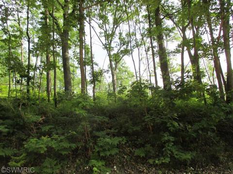 1025 E 16 Mile Rd, Bitely, MI 49309 photo 16