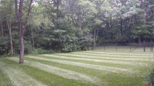 21 Kendra Ct, Lowell, MI 49331 photo 4