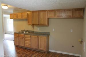 758 Root, Belding, MI 48809 photo 12