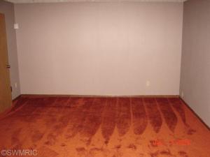 422 Corral Path, Lansing, MI 48917 photo 12