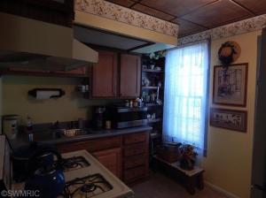 202 N Orange St, Sturgis, MI 49091 photo 10
