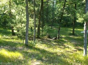 1911 E Fern Ln, White Cloud, MI 49349 photo 14