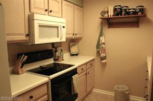 376 Boyer Ct, Marshall, MI 49068 photo 2