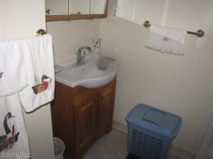 23218 Van Resort Dr, Mendon, MI 49072 photo 7