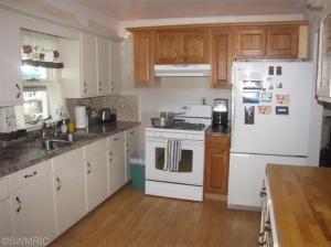 23218 Van Resort Dr, Mendon, MI 49072 photo 3