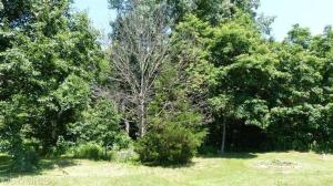 75358 30th Ave, Covert, MI 49043 photo 2