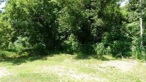 75358 30th Ave, Covert, MI 49043 photo 14
