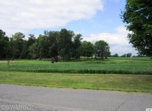 125 Larry Dr, Waldron, MI 49288 photo 11
