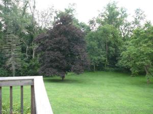14963 E Augusta Dr, Augusta, MI 49012 photo 20