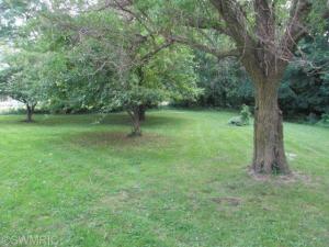419 Polk, Colon, MI 49040 photo 8