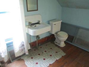 419 Polk, Colon, MI 49040 photo 20
