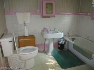 419 Polk, Colon, MI 49040 photo 23