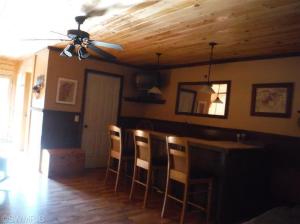 1638 Peters, Bailey, MI 49303 photo 16
