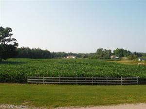 1638 Peters, Bailey, MI 49303 photo 22