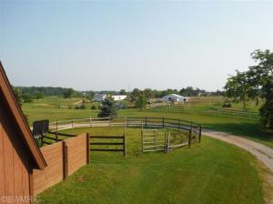 1638 Peters, Bailey, MI 49303 photo 21