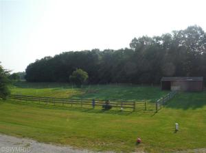 1638 Peters, Bailey, MI 49303 photo 20