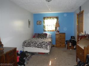 1638 Peters, Bailey, MI 49303 photo 14