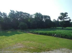 1638 Peters, Bailey, MI 49303 photo 23