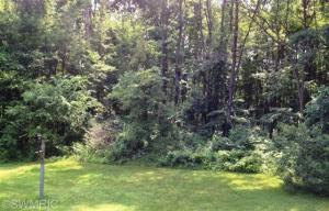 14671 96th Ave, Marcellus, MI 49067 photo 5