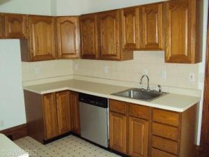 324 S Main, Bellevue, MI 49021 photo 11