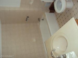 324 S Main, Bellevue, MI 49021 photo 4