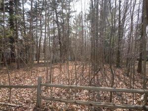 655 Campbell Rd, Douglas, MI 49406 photo 11