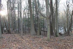 655 Campbell Rd, Douglas, MI 49406 photo 8